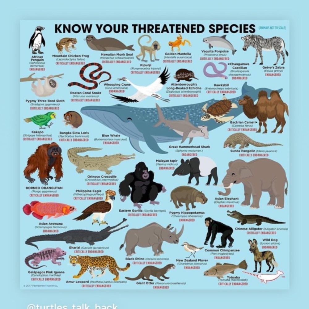 Meet your Posher, Juls